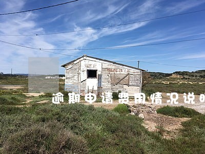 逾期申请费用情况说明 逾期申请费用情况说明