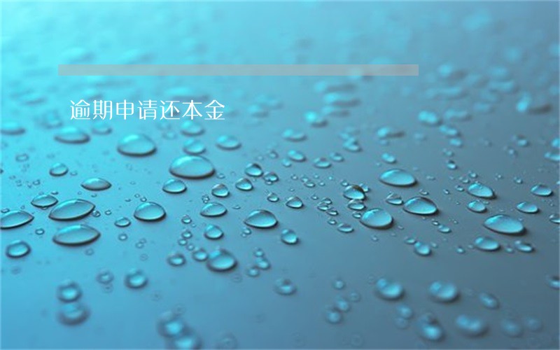 逾期申请还本金