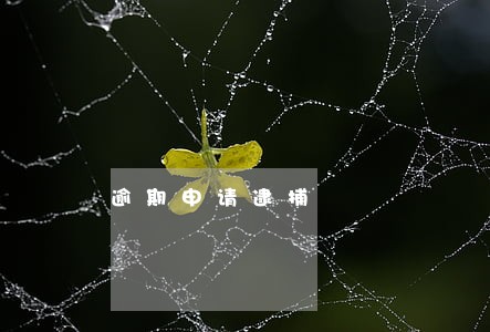 逾期申请逮捕 逾期申请逮捕