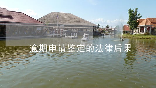 逾期申请鉴定的法律后果 逾期申请鉴定的法律后果