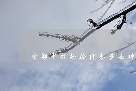 逾期申领检验标志多长时间处罚