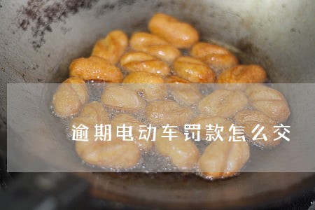 逾期电动车罚款怎么交 逾期电动车罚款怎么交
