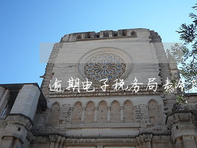 逾期电子税务局责令限期改正 逾期电子税务局责令限期改正