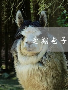 逾期电子银承到期多久付款