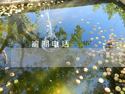 逾期电话 逾期电话