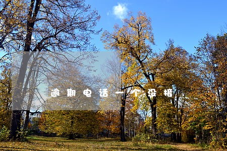 逾期电话一个没接 逾期电话一个没接