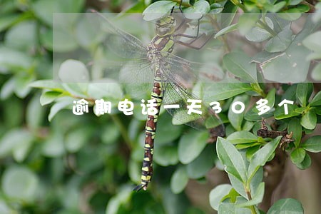 逾期电话一天30多个 逾期电话一天30多个