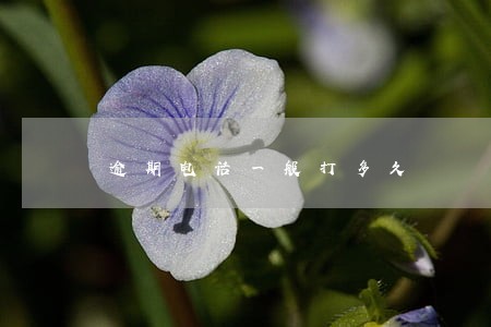 逾期电话一般打多久 逾期电话一般打多久