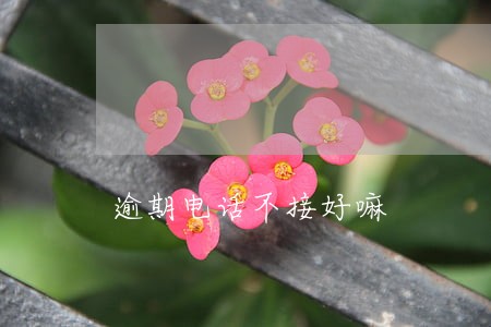 逾期电话不接好嘛 逾期电话不接好嘛
