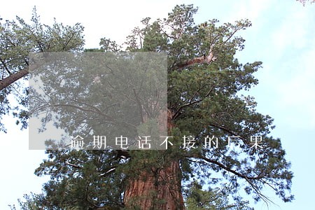 逾期电话不接的后果 逾期电话不接的后果