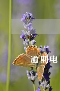 逾期电话催收培训ppt 逾期电话催收培训ppt