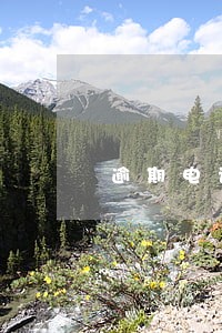 逾期电话催收怎么跟家里人沟通 逾期电话催收怎么跟家里人沟通