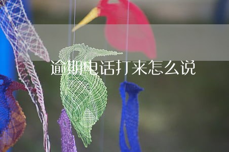 逾期电话打来怎么说 逾期电话打来怎么说