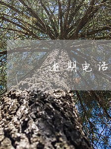 逾期电话打老家怎么处理 逾期电话打老家怎么处理