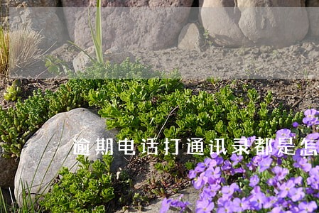 逾期电话打通讯录都是怎么打 逾期电话打通讯录都是怎么打