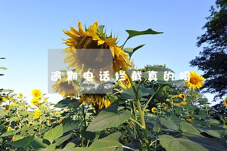 逾期电话拦截真的吗 逾期电话拦截真的吗