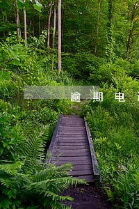 逾期电话接了要怎么说 逾期电话接了要怎么说