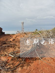 逾期电话没有名字 逾期电话没有名字