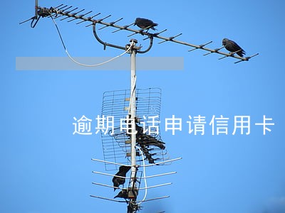 逾期电话申请信用卡