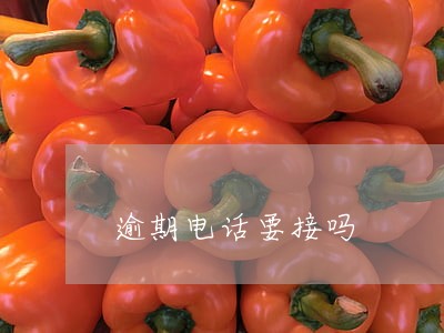 逾期电话要接吗 逾期电话要接吗