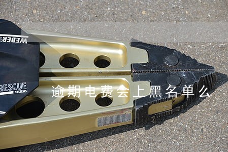 逾期电费会上黑名单么
