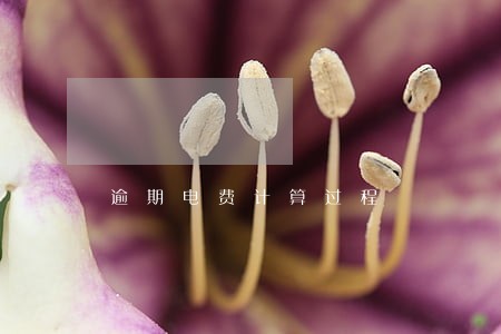 逾期电费计算过程 逾期电费计算过程