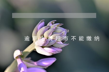 逾期电费超市不能缴纳 逾期电费超市不能缴纳