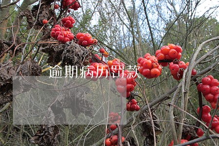 逾期病历罚款 逾期病历罚款