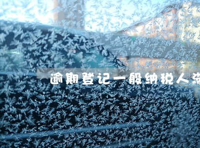 逾期登记一般纳税人滞纳金 逾期登记一般纳税人滞纳金