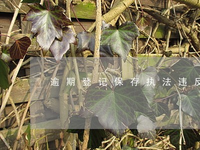逾期登记保存执法违反程序案例