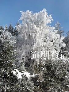 逾期登记税务处罚