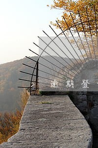 逾期登记要罚款多少钱 逾期登记要罚款多少钱