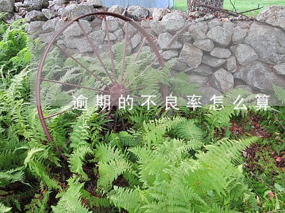 逾期的不良率怎么算 逾期的不良率怎么算