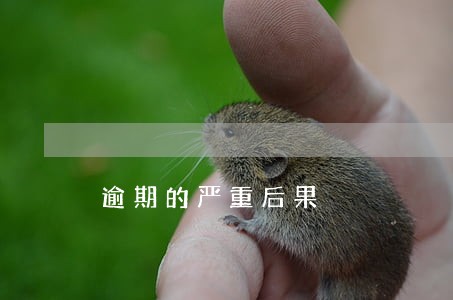逾期的严重后果 逾期的严重后果