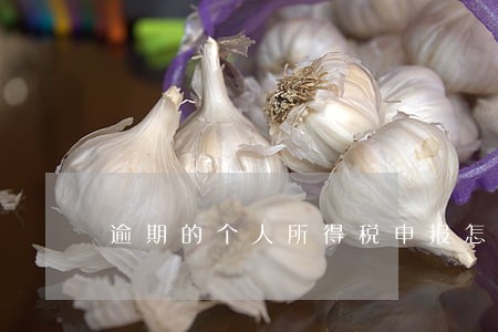 逾期的个人所得税申报怎么补报 逾期的个人所得税申报怎么补报