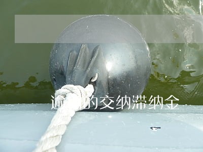 逾期的交纳滞纳金 逾期的交纳滞纳金