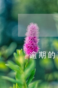 逾期的交纳滞纳金吗 逾期的交纳滞纳金吗
