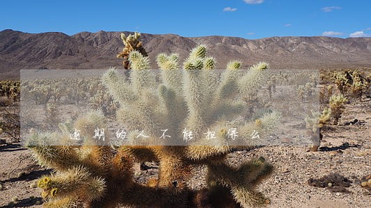 逾期的人不能担保么 逾期的人不能担保么