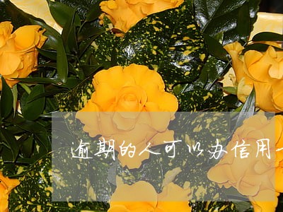 逾期的人可以办信用卡吗 逾期的人可以办信用卡吗