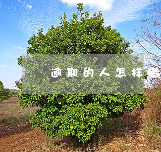 逾期的人怎样借款 逾期的人怎样借款