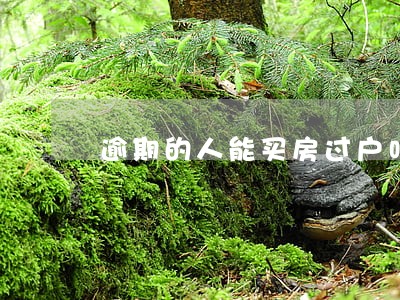 逾期的人能买房过户吗 逾期的人能买房过户吗
