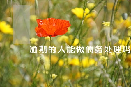 逾期的人能做债务处理吗