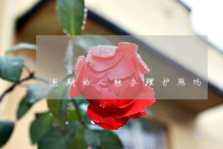 逾期的人能办理护照吗 逾期的人能办理护照吗