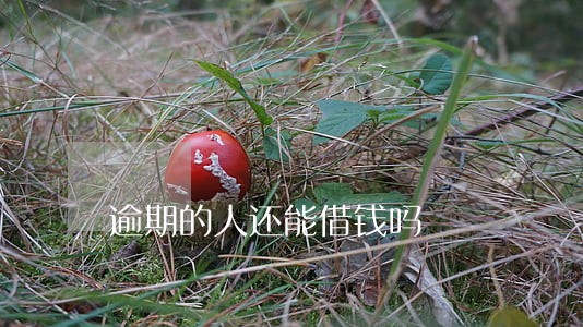 逾期的人还能借钱吗 逾期的人还能借钱吗