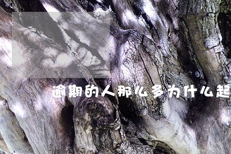 逾期的人那么多为什么起诉的少 逾期的人那么多为什么起诉的少