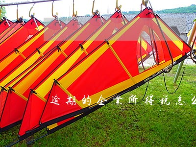 逾期的企业所得税怎么补 逾期的企业所得税怎么补
