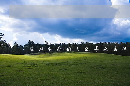 逾期的你们怎么寻求法律帮助