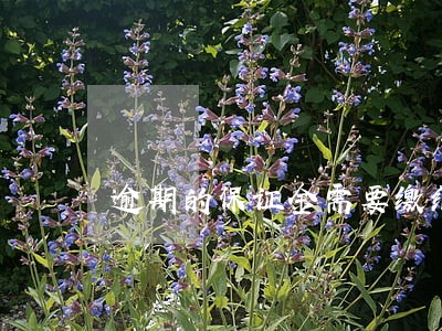 逾期的保证金需要缴纳增值税吗 逾期的保证金需要缴纳增值税吗