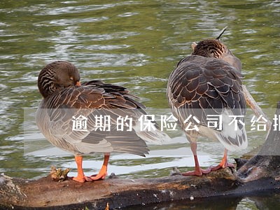 逾期的保险公司不给报怎么办 逾期的保险公司不给报怎么办