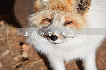 逾期的信息句子 逾期的信息句子